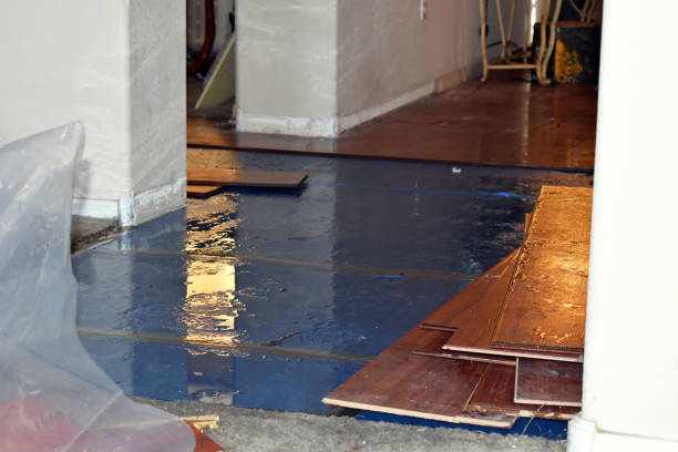 Professional Water Damage Restoration technician working in Burlington, TX